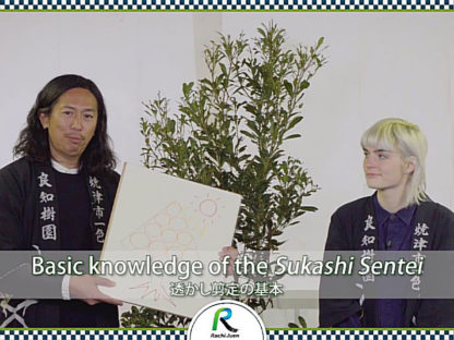The practice of Sukashi Sentei