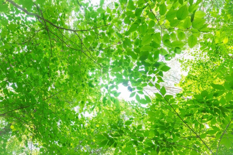 令和７年度夏季休業のお知らせ