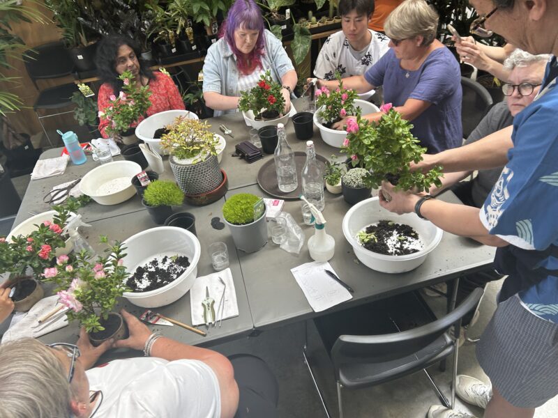 「春の癒しの苔玉教室」参加者募集