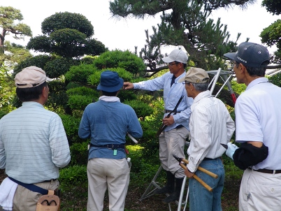 春のお庭の剪定教室 体験会 開催